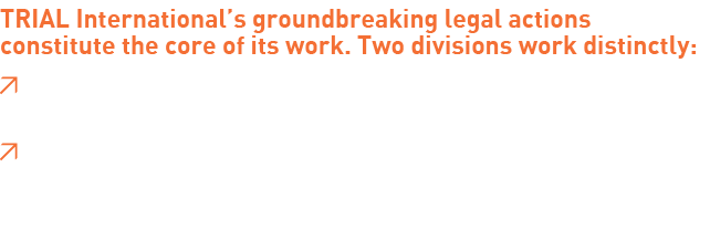 TRIAL International’s groundbreaking legal actions constitute the core of its work. Two divisions work distinctly:   ...