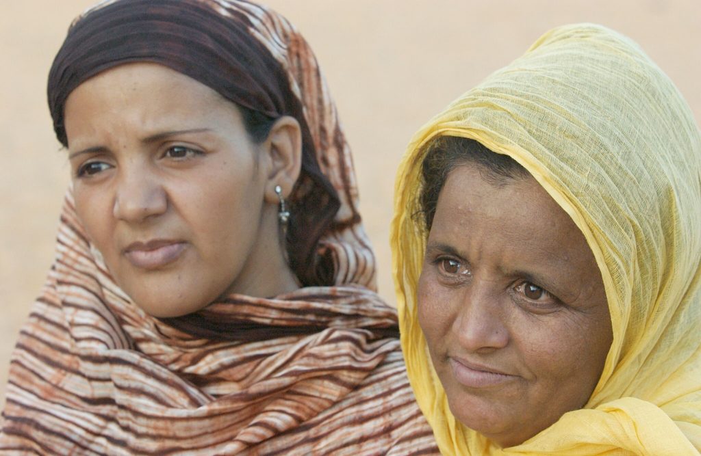 UN Photo ©Evan Schneider Women Algeria